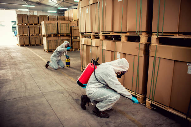 Best Best Pest Control Companies  in Comer, GA