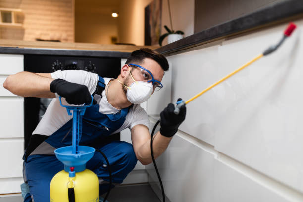 Best Mosquito Control Services  in Comer, GA