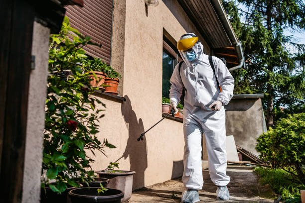 Best Mosquito Control Services  in Comer, GA