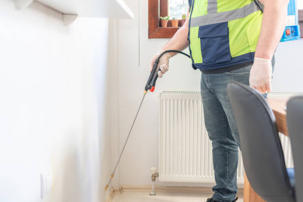 Best Local Pest Control Services  in Comer, GA