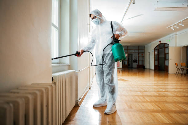 Best Affordable Pest Control Services  in Comer, GA